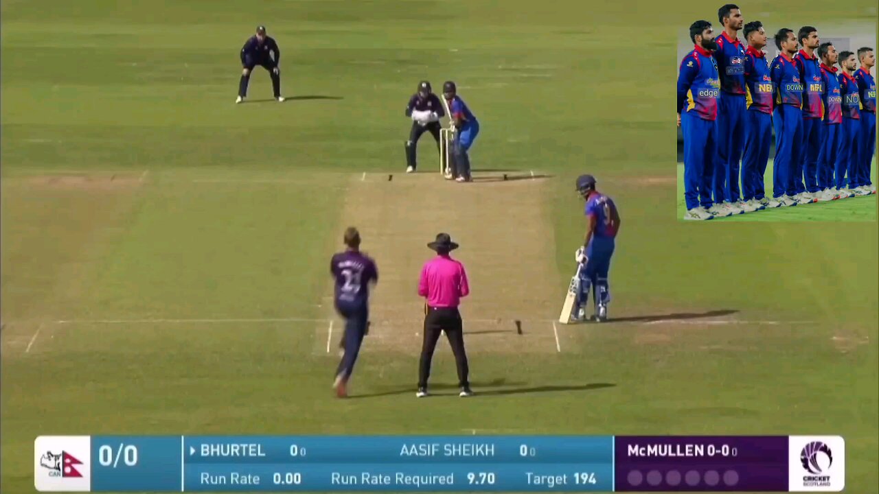 ASMR HILIGHTS FOR CRICKET LOVER