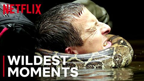Bear’s WILDest Moments 🤯 Animals on the Loose_ A You vs Wild Movie _ Netflix Family