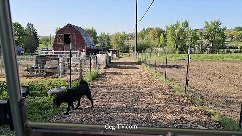 Graham Family Farm: 9:00 AM May 1 2025