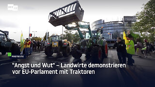 "Angst und Wut" – Landwirte demonstrieren vor EU-Parlament mit Traktoren