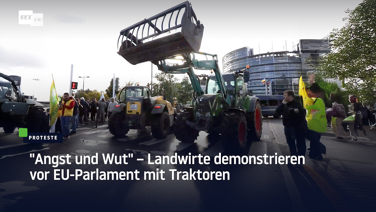 "Angst und Wut" – Landwirte demonstrieren vor EU-Parlament mit Traktoren