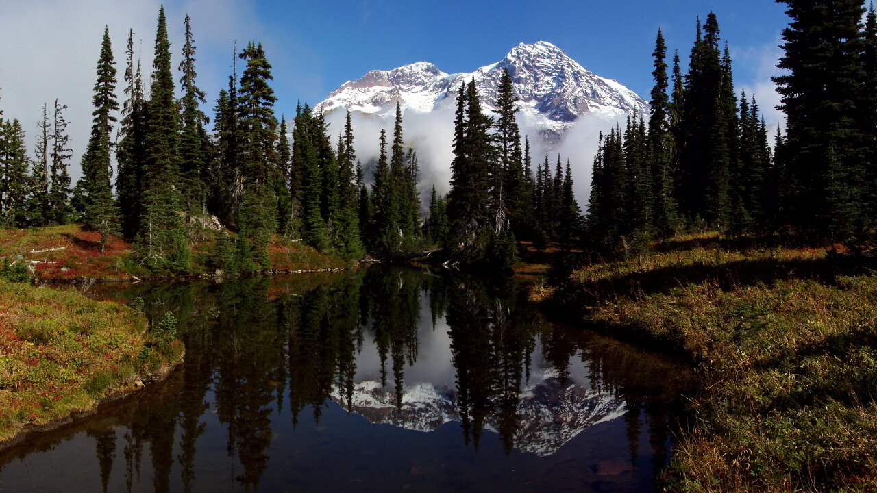 Mount Rainier - Indian Henry's Hunting Ground (Wonderland Trail)