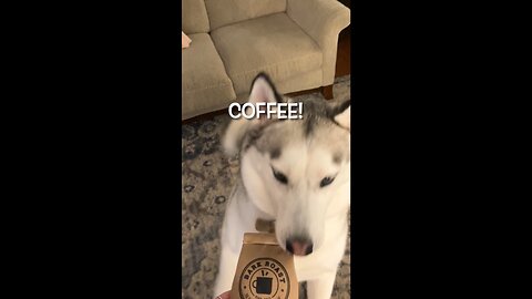 ☕️Carol of the Coffee Bells