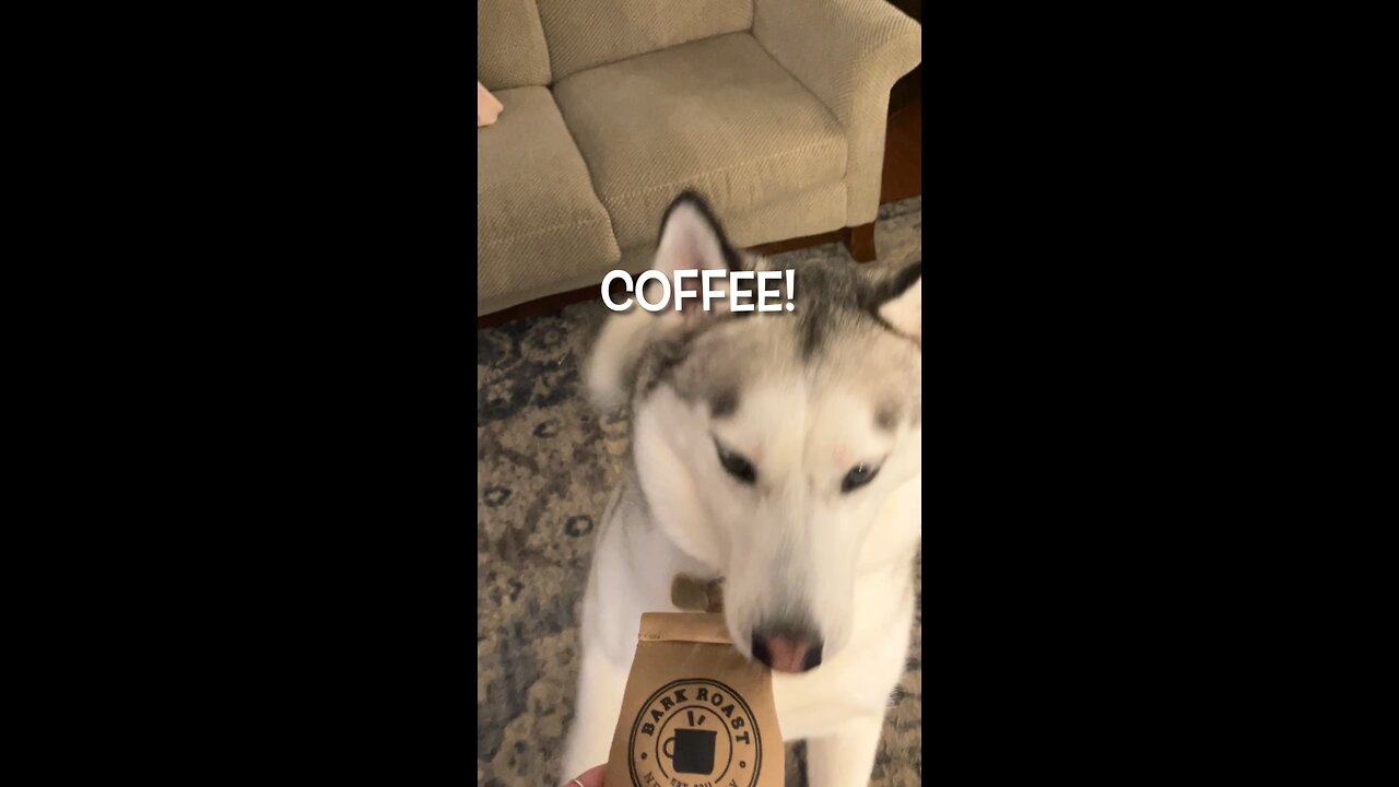 ☕️Carol of the Coffee Bells