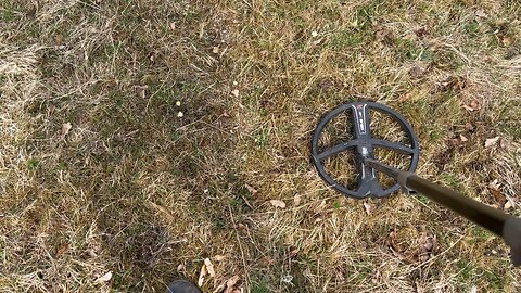 Nice day to look for treasures ! 😀