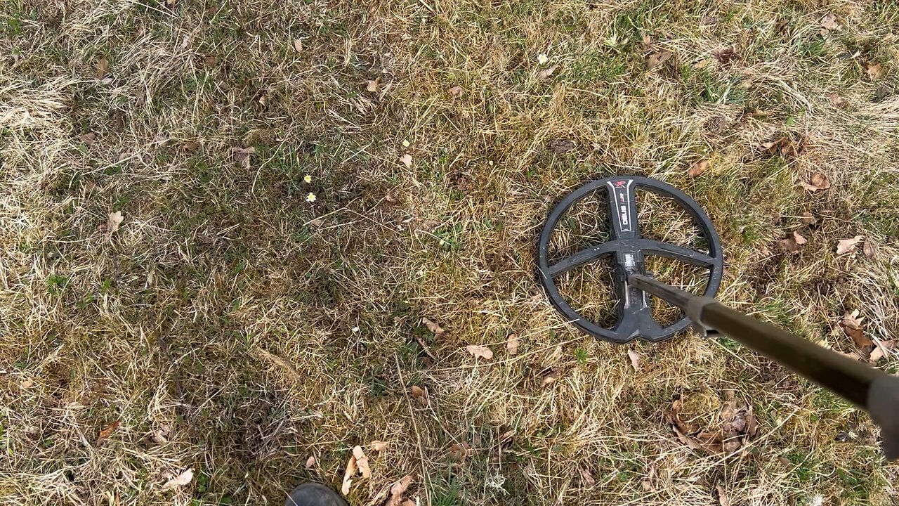 Nice day to look for treasures ! 😀
