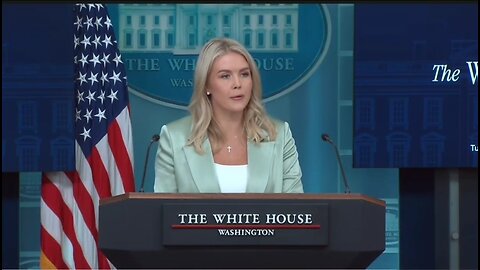 Karoline Leavitt: Trump's Trying To Protect ALL Americans