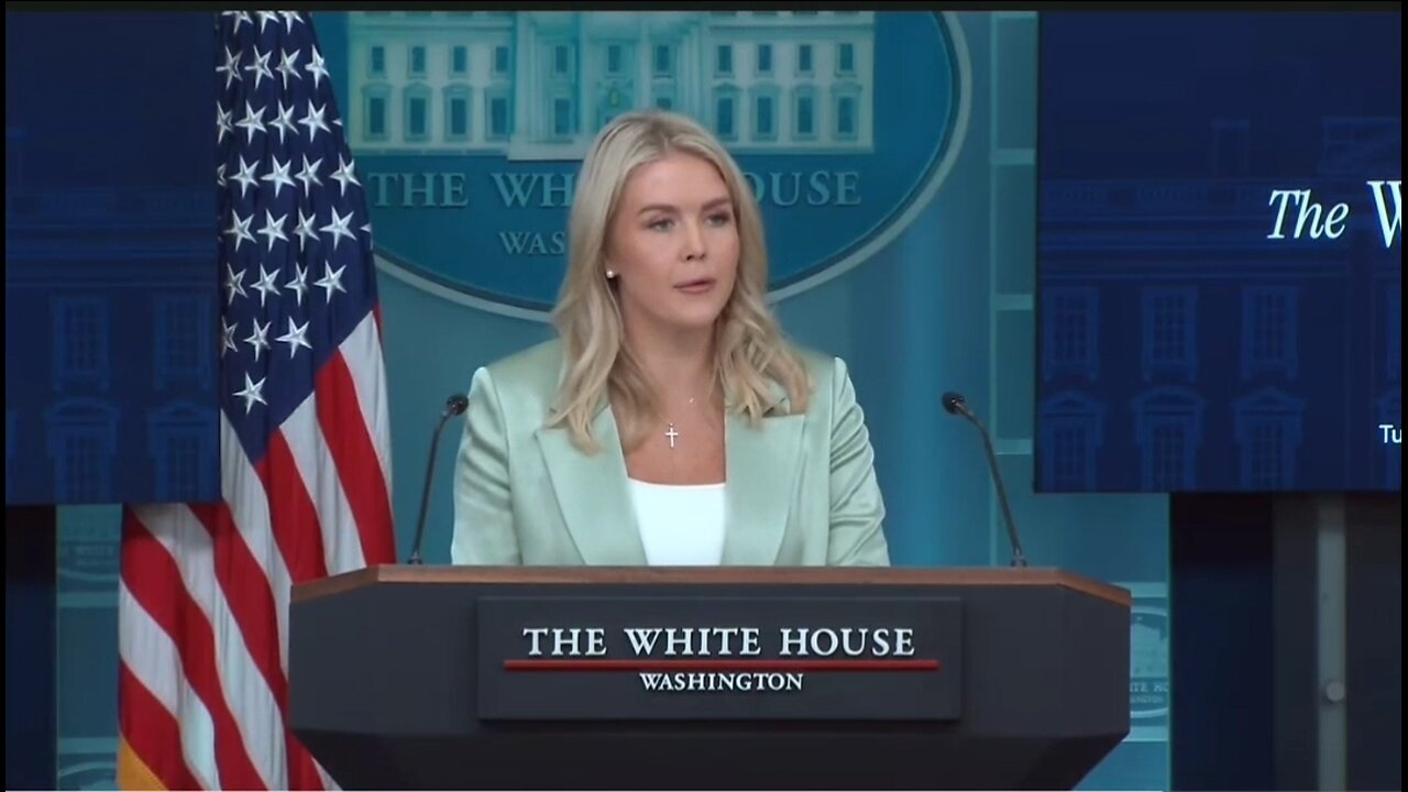 Karoline Leavitt: Trump's Trying To Protect ALL Americans