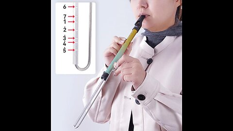 Tuned Slide Whistle With Musical Scale