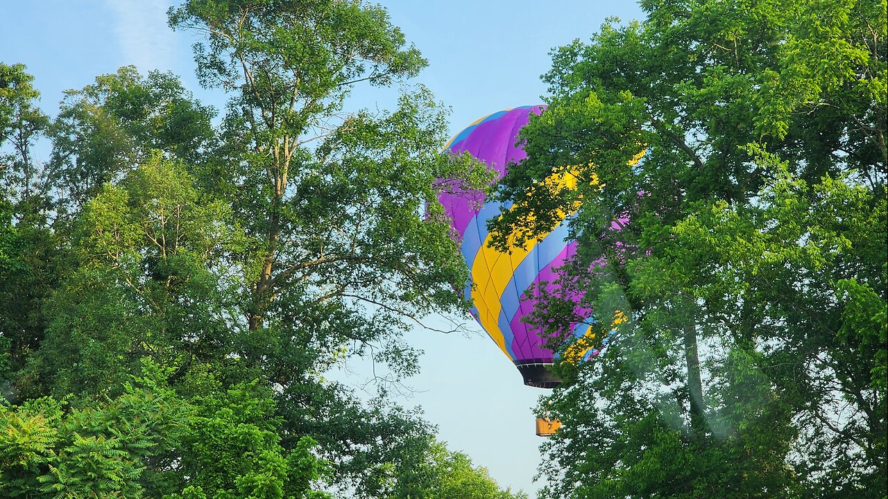 Speedy flight to the east