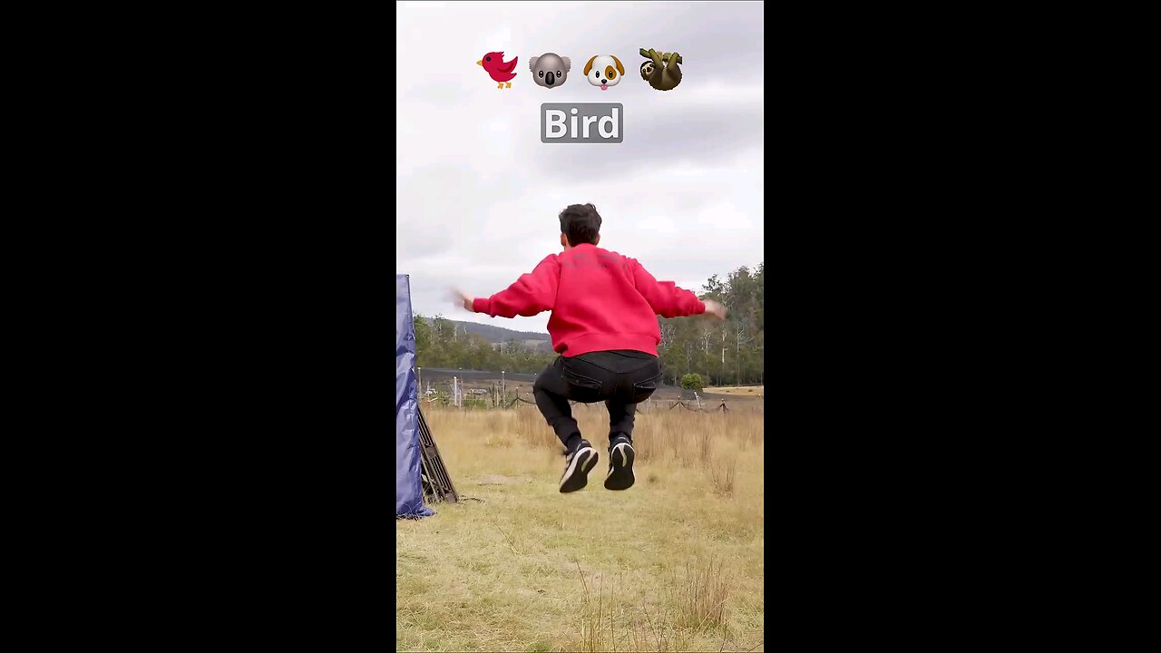 If animals glitched or lagged