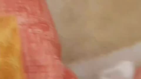 با این کار هر وسیله ای که دوست داری رو میتونی بعد مدتی بخری.