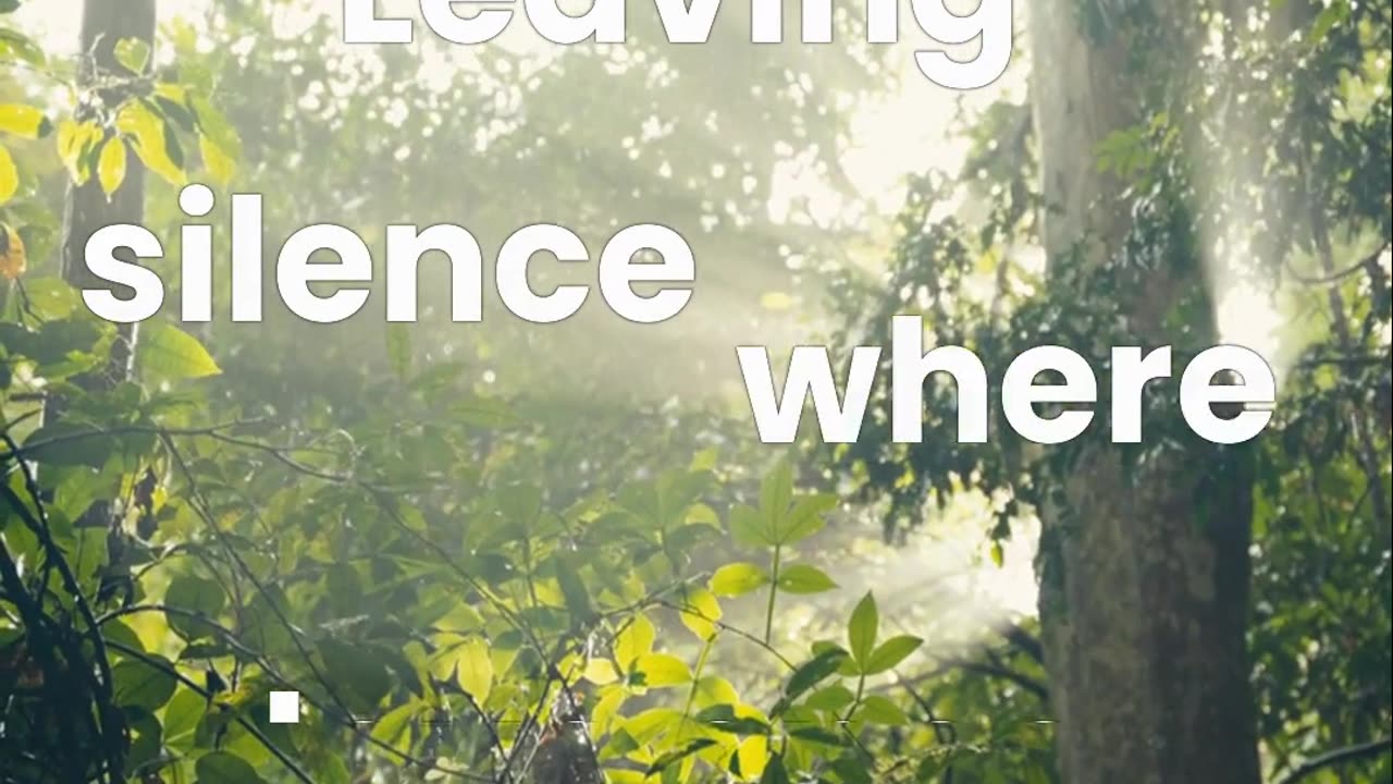 A Bitter Sweet Symphony - A Love Lost in Time #love