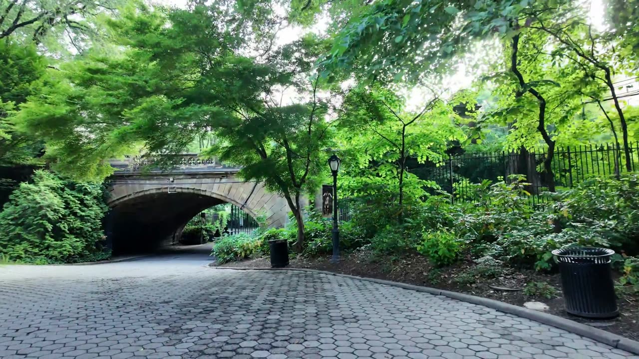 New York City LIVE Walking (chat on YouTube)