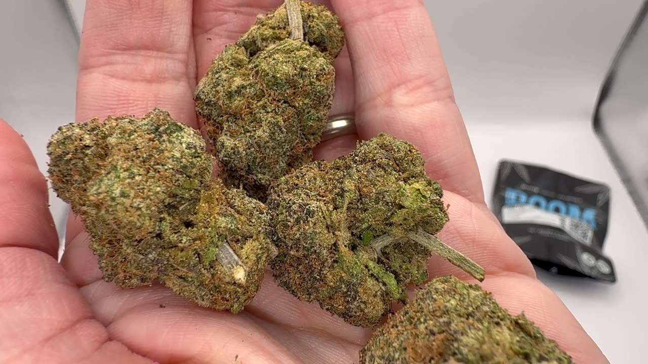 Fire OG or Laughing Gas: Which one is better from BOOM? Mrs Dank Flamingo Review!!