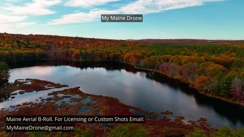 Maine B-Roll (No Sound): Fall Foliage at Lily Pond in New Gloucester, Maine Video 6