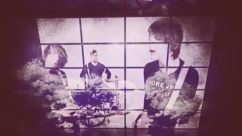 TRAMPOLENE - Imagine Something Yesterday