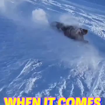 Top 5 Instant Regrets Caught on Camera! 😂 #fails #funny #shorts #failure #hilariousmoments