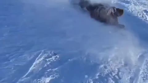 Top 5 Instant Regrets Caught on Camera! 😂 #fails #funny #shorts #failure #hilariousmoments