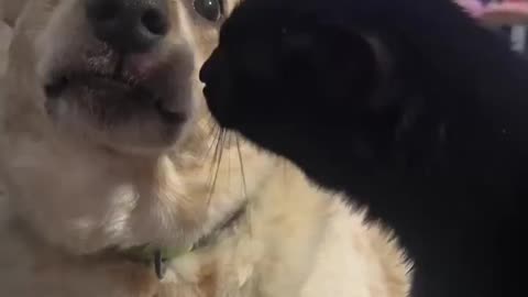 When Your Opps Are Nice To You