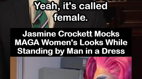 Jasmine Crockett Mocks MAGA Women's Looks While Standing by Man in a Dress