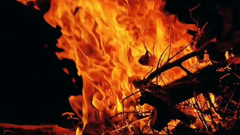 Daily Horoscope | Leo 🌟