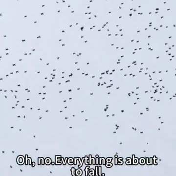 When somebody doesn't like your Drone, Its Jammer time.