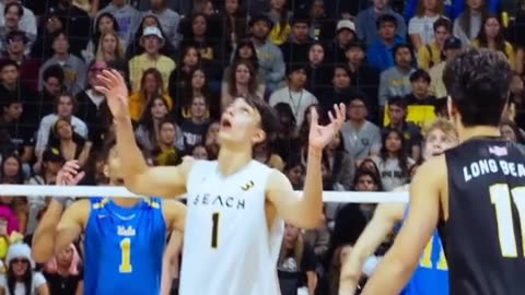 Bola vol Volleyball