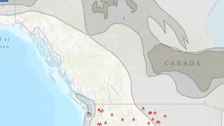 Orange 🟧 Screen Action! 🗺📍Washington & California!⏰️ Quick D.U.M.B'S Update!💥 7-7-25