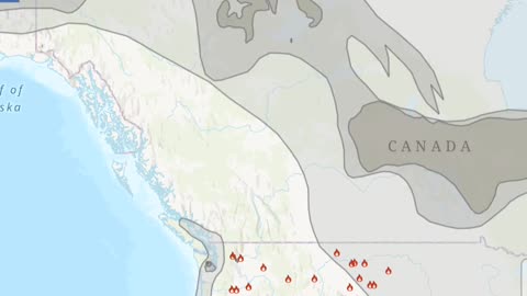 Orange 🟧 Screen Action! 🗺📍Washington & California!⏰️ Quick D.U.M.B'S Update!💥 7-7-25