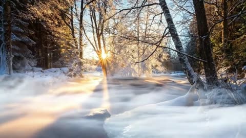 Free Nature Videos 4K HD 4k Nature video No Watermark