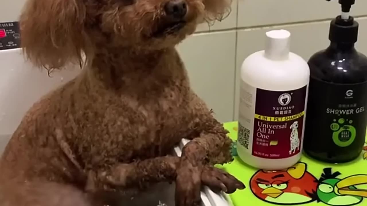 When it behaves like human