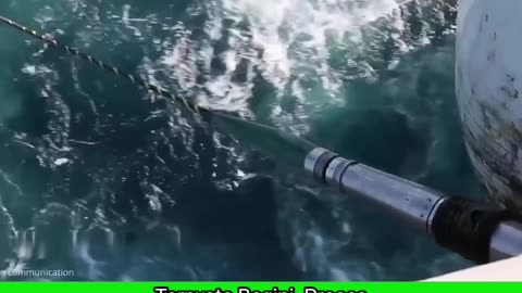 Engineering the Deep: The Innovation Behind Subsea Cable Construction