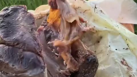 Roasted veal leg in clay in the wild 🥩🪵💦🐿
