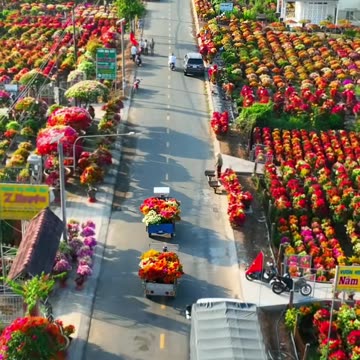 4 seasons in Vietnam - Spring