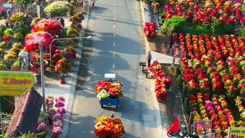 4 seasons in Vietnam - Spring