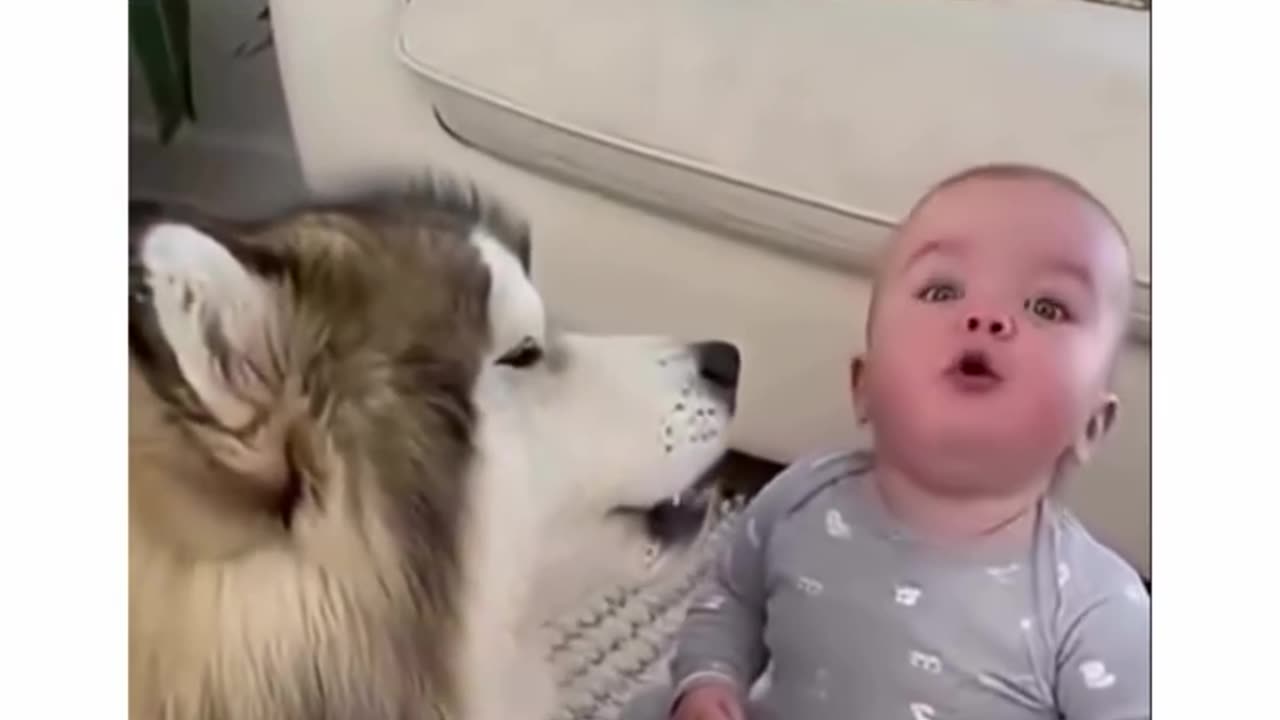 Baby&dog