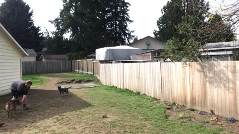 backyard hangout 32908423098423309