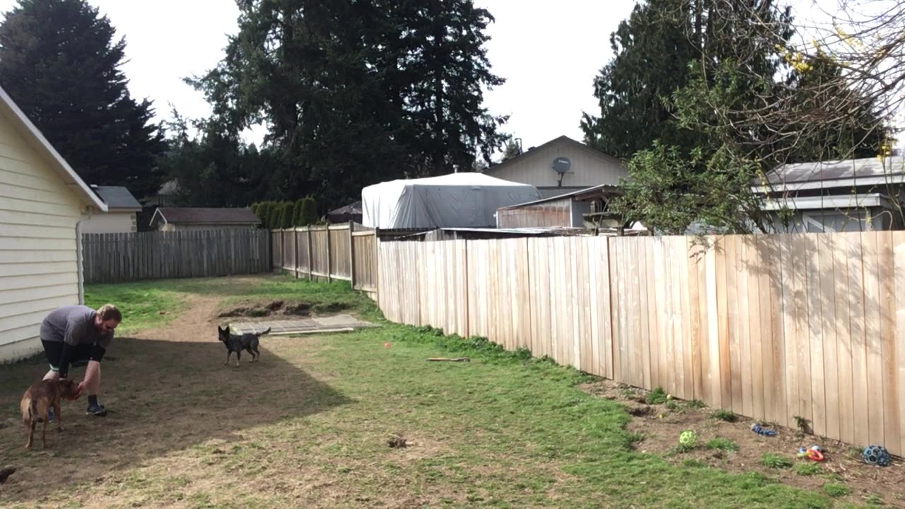 backyard hangout 32908423098423309