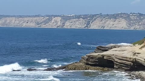 GREAT VIEW La Jolla Looking North May 2025. #Beach #sandiego #shorts