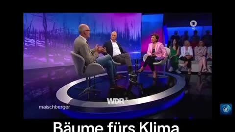 Waldbrände hausgemacht - ZDF