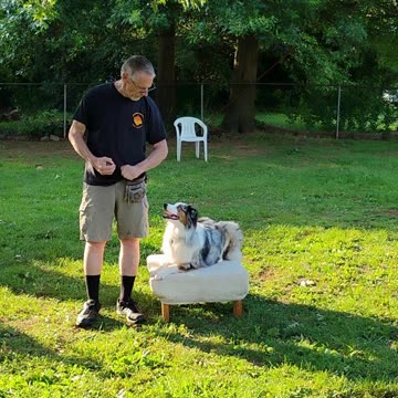 Shaping the Stay Cue short 5