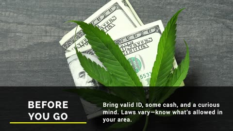First-Timer’s Guide: What to Expect at Your First Dispensary Visit