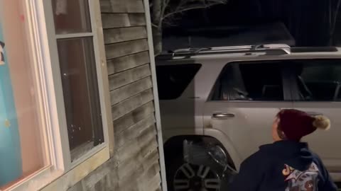 Grandma Knocking Snow Down or Snow Knocking Down Grandma