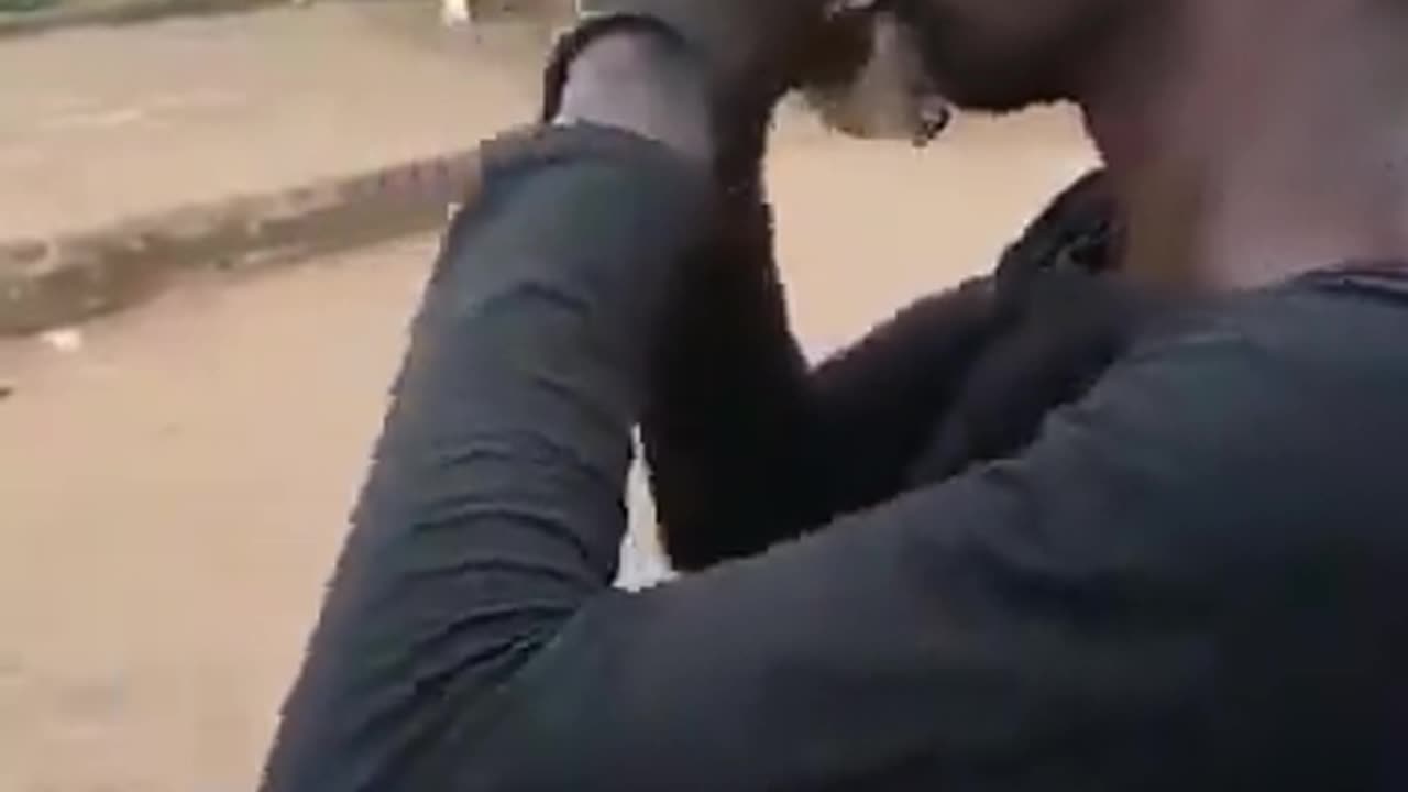 They never should have left the jungle