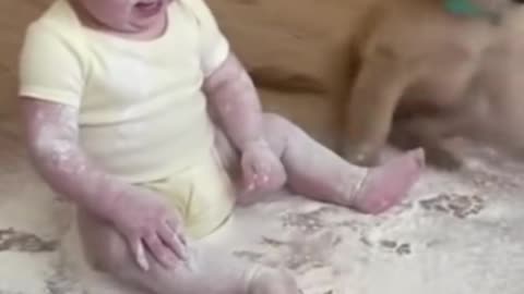 Puppy Sneezes + Baby ‘Helps’ 💨😂 The Flour Explosion!