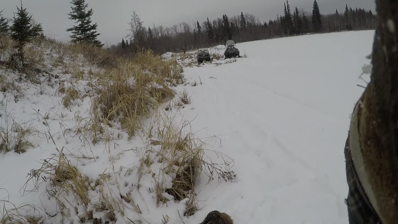 March 17, 2025 - Beaver Trapping