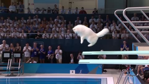 Kitty Olympics — looks totally real, but it’s 100% AI-generated.