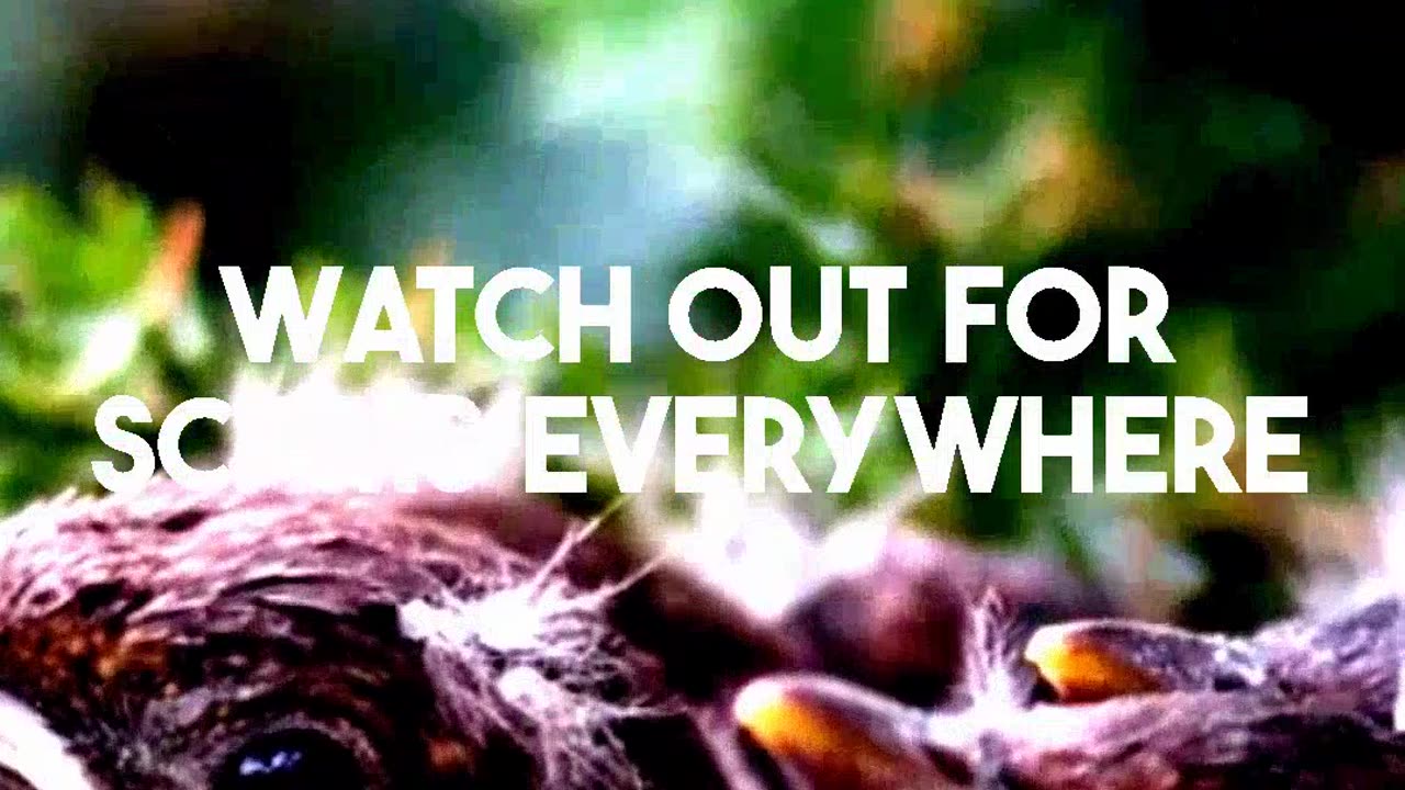 Examining Solana Faucets and Free SOL Earning Methods