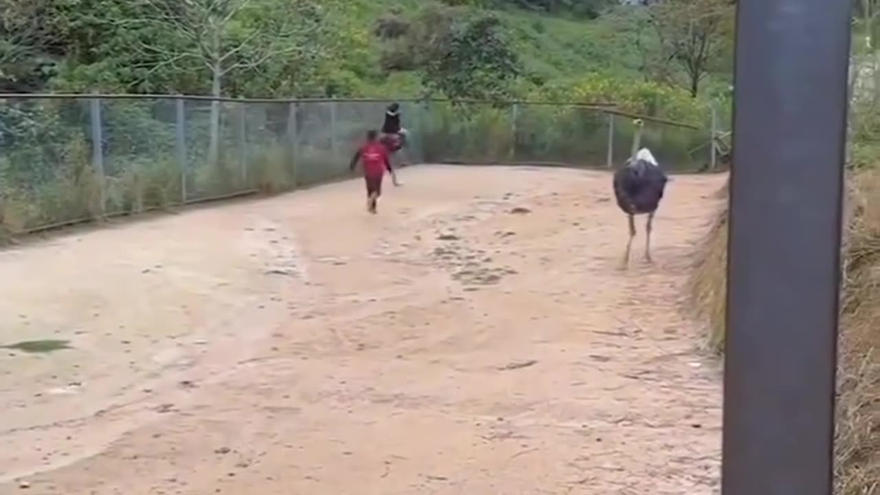 FUNNY ANIMAL VIDEOS 2023 😸😹😂😂❤️